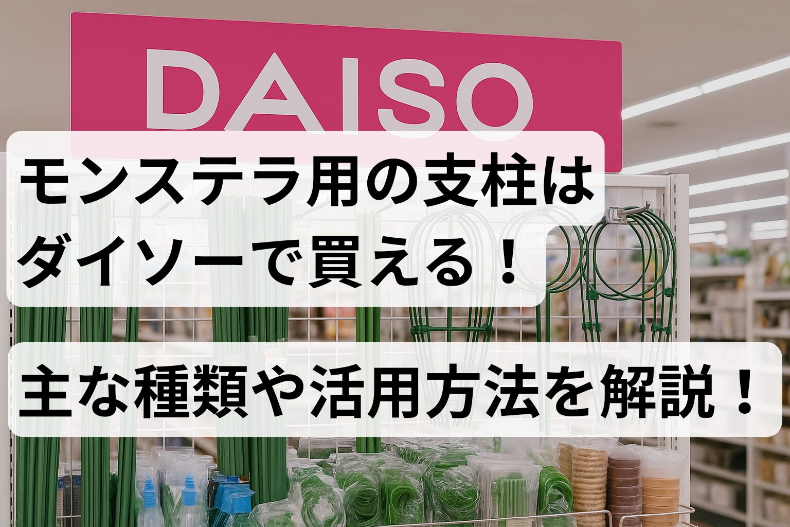 ブログ記事のアイキャッチ画像（タイトル「モンステラ用の支柱はダイソーで買える！主な種類や活用方法を解説」）。