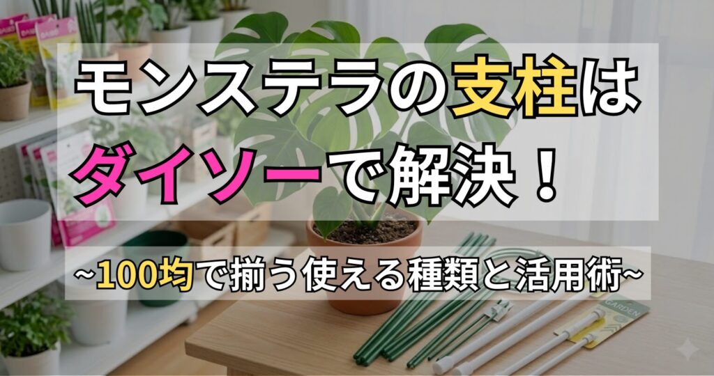 モンステラ用の支柱はダイソーで買える！主な種類や活用方法を解説