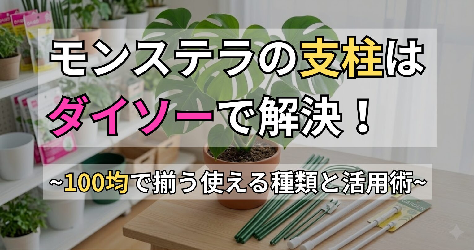 モンステラ用の支柱はダイソーで買える！主な種類や活用方法を解説