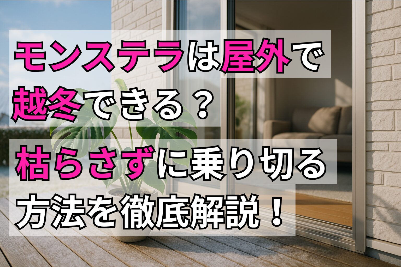アイキャッチ画像（モンステラは屋外で越冬できる？枯らさずに乗り切る方法を徹底解説）