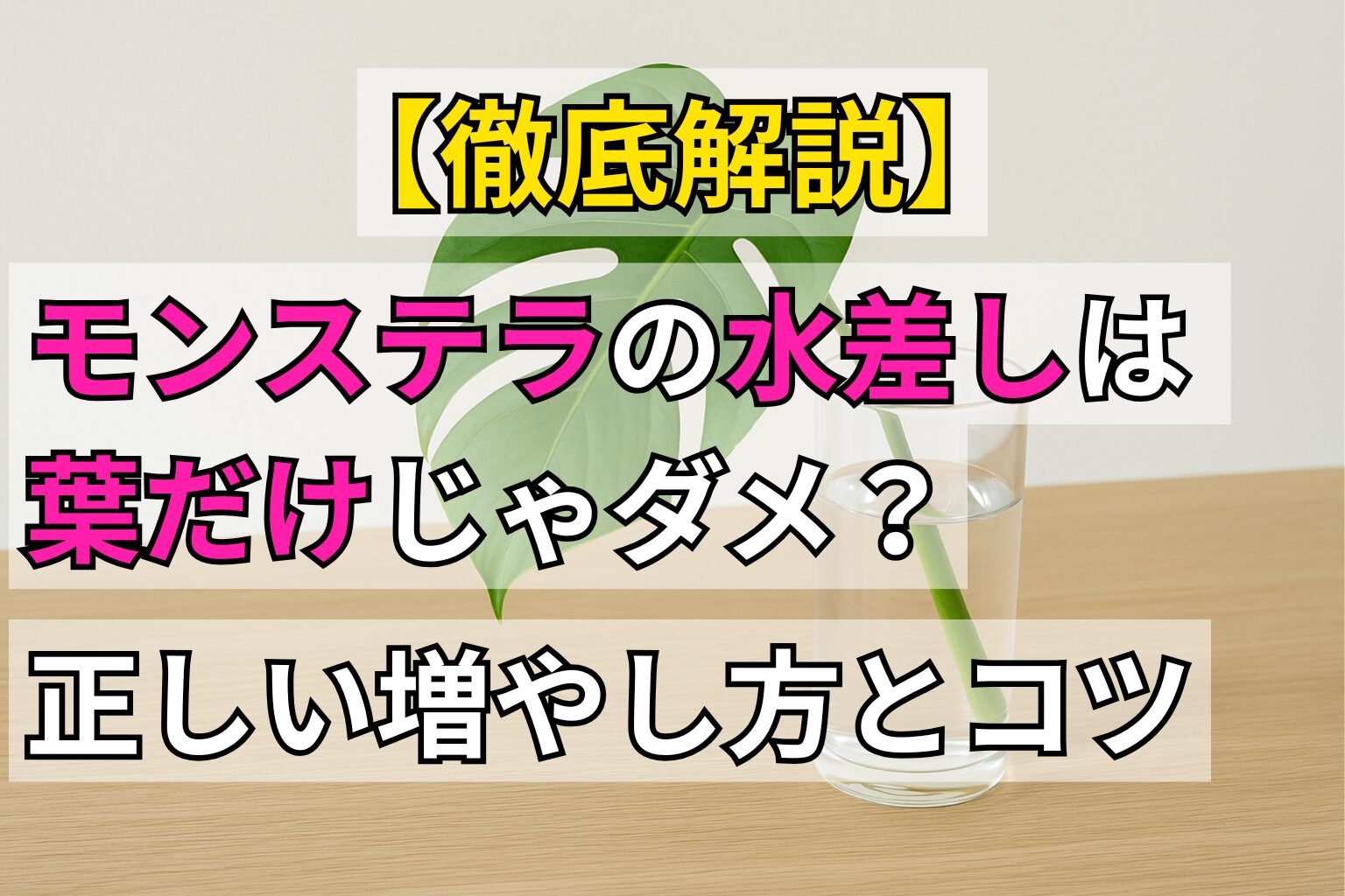 【徹底解説】モンステラの水差しは葉だけじゃダメ?正しい増やし方とコツ