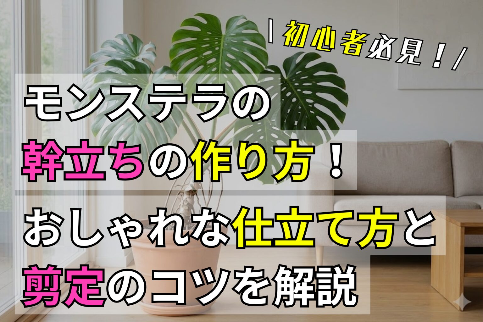 モンステラの幹立ちの作り方！おしゃれな仕立て方と剪定のコツを解説