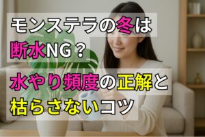 モンステラの冬は断水NG？水やり頻度の正解と枯らさないコツ