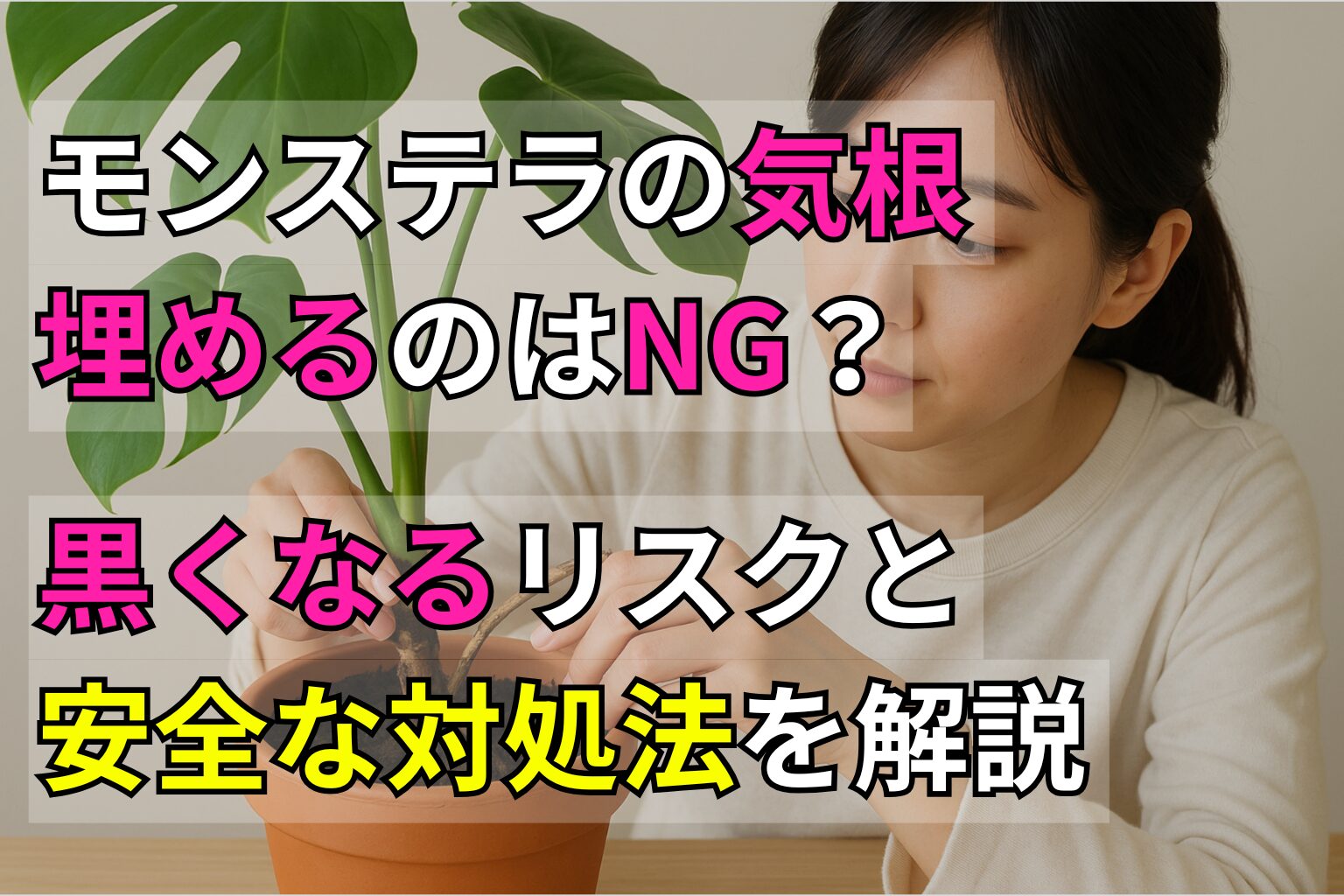 モンステラの気根、埋めるのはNG？黒くなるリスクと安全な対処法を解説