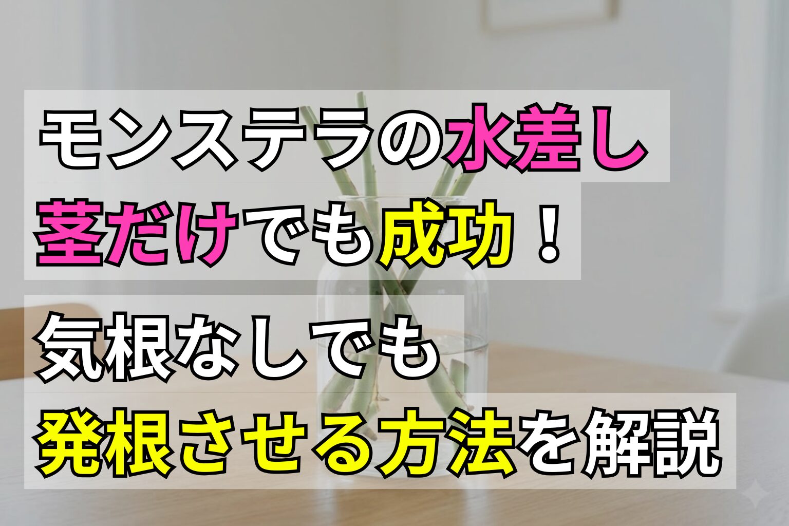モンステラの水差しは茎だけでも成功！気根なしでも発根させる方法を解説