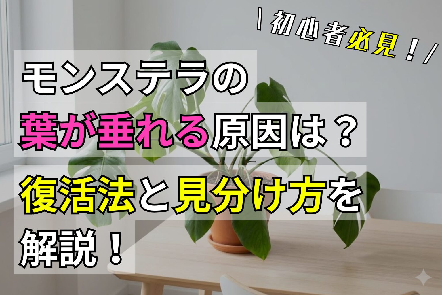 モンステラの葉が垂れる原因は？復活法と見分け方を解説！