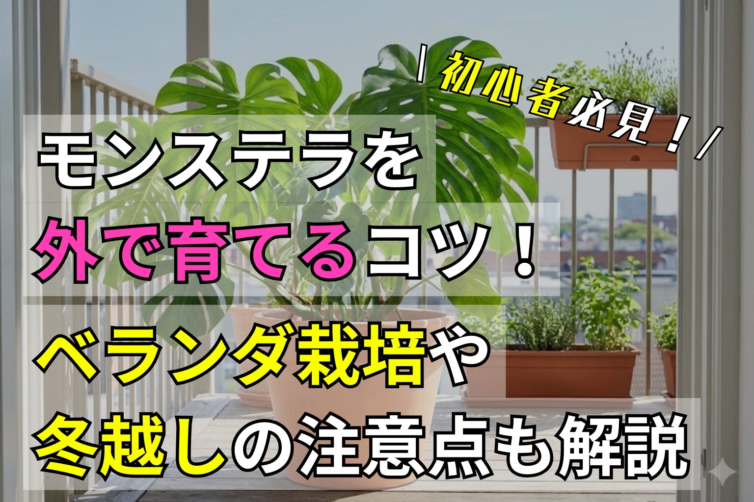 モンステラを外で育てるコツ！ベランダ栽培や冬越しの注意点も解説