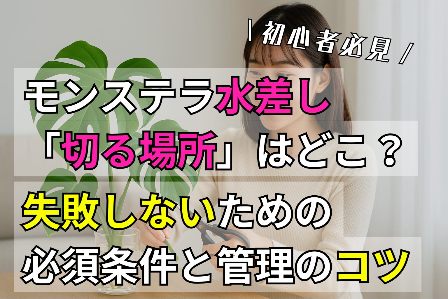 モンステラ水差し「切る場所」はどこ？失敗しないための必須条件と管理のコツ