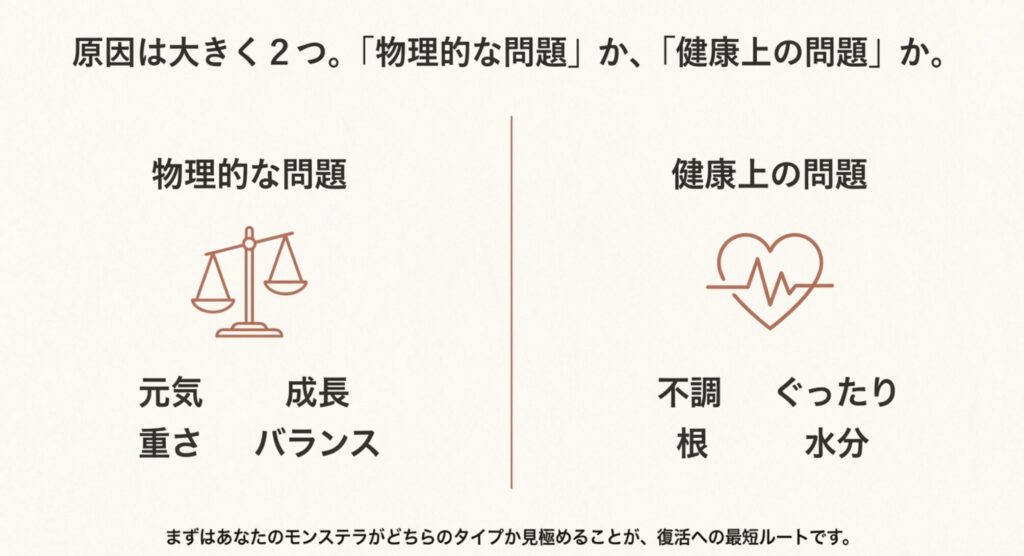モンステラが倒れる物理的な問題と健康上の問題の天秤図