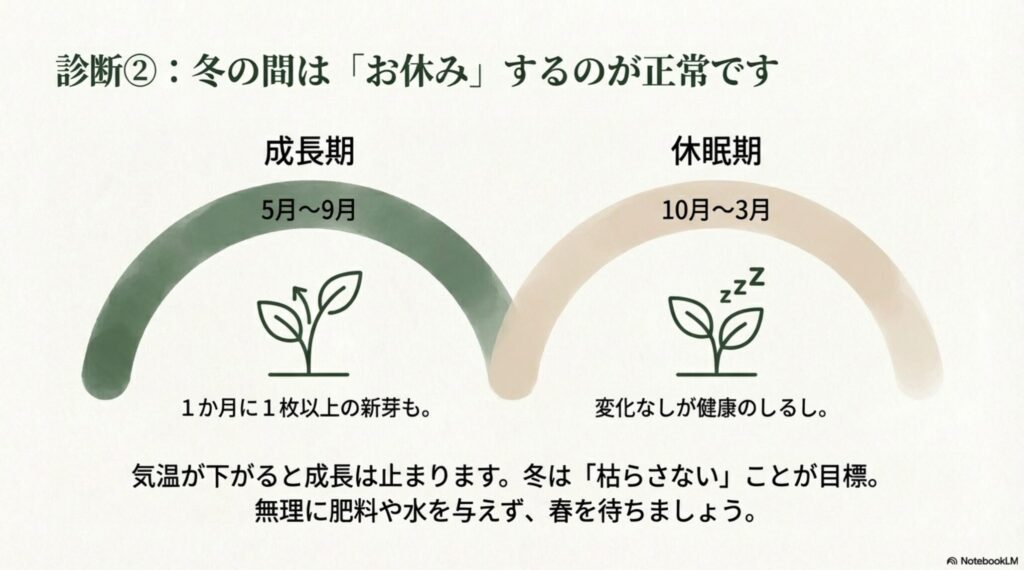 5月〜9月は成長期で新芽が出るが、10月〜3月は休眠期で成長が止まることを示すカレンダーと植物のイラスト。