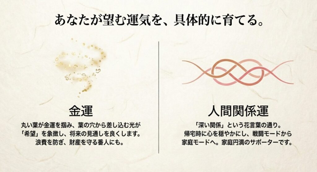 モンステラの葉の穴が希望の光を象徴して金運を上げ、深い関係という花言葉が家庭円満をサポートすることを説明したスライド。