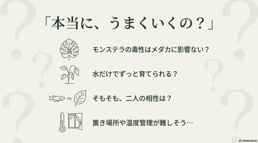 モンステラの毒性やメダカとの相性、温度管理など、水耕栽培を始める前に感じるよくある疑問点一覧。