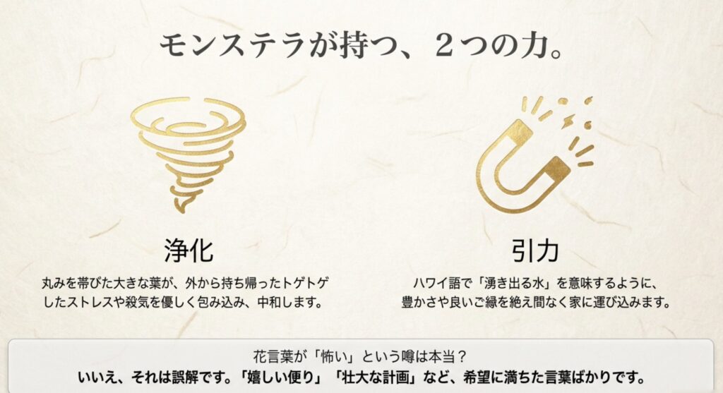 モンステラの丸い葉が邪気を浄化し、ハワイ語で湧き出る水を意味するように良いご縁を引き寄せる2つの力を解説した図。