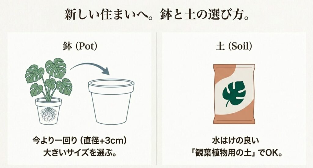 モンステラの植え替えで一回り大きな鉢を選ぶ目安と、水はけの良い用土のイラスト解説。