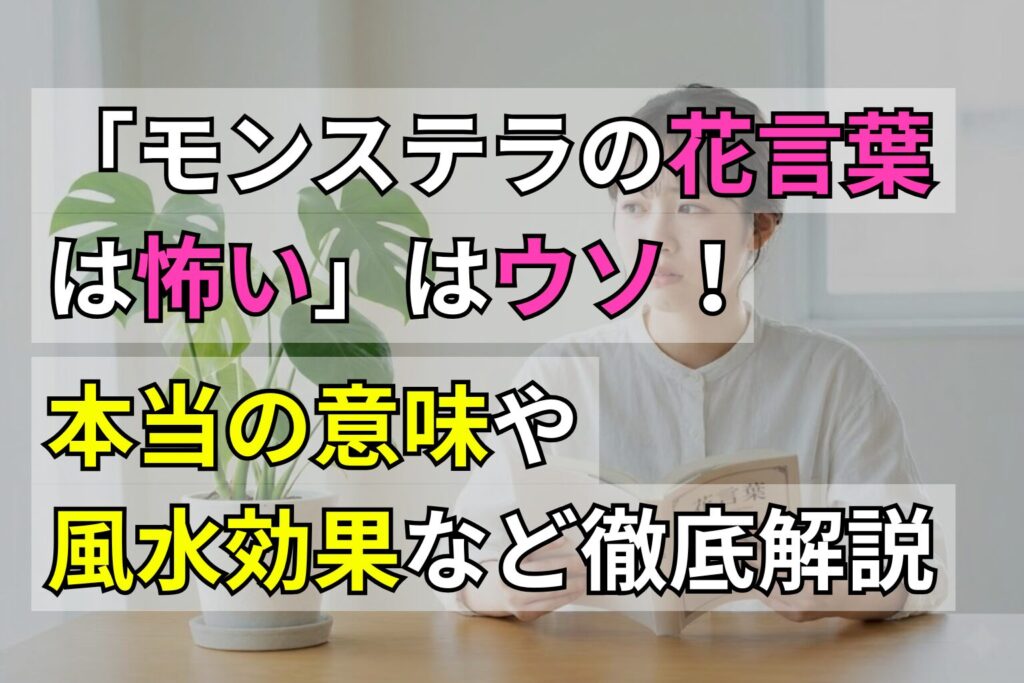 「モンステラの花言葉は怖い」はウソ！本当の意味や風水効果など徹底解説