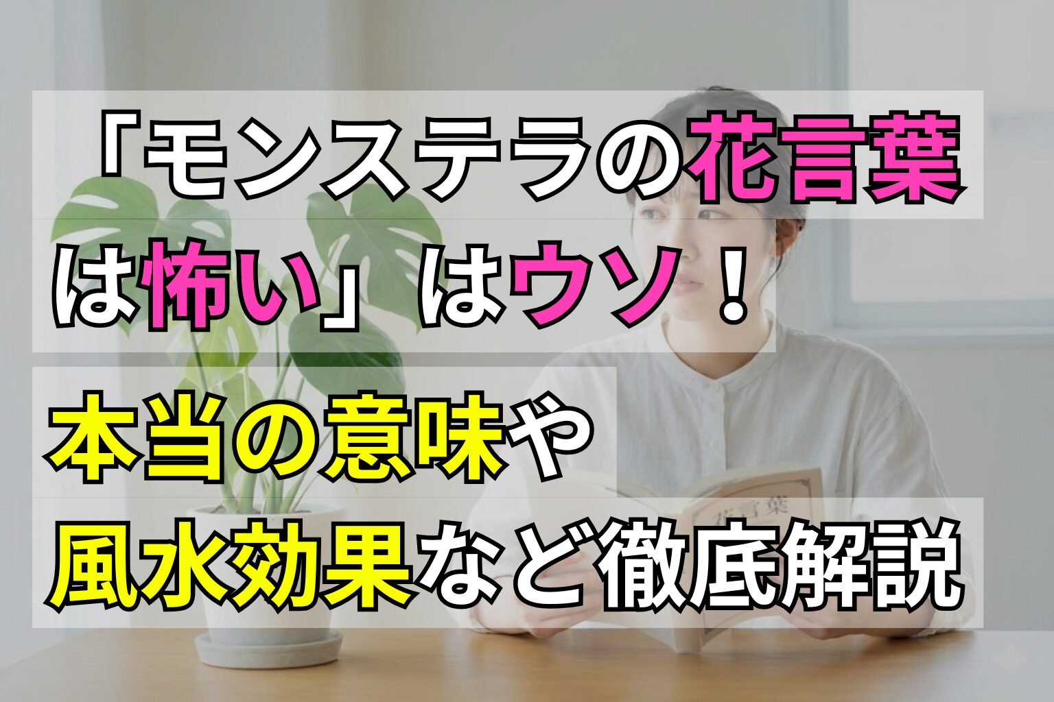 「モンステラの花言葉は怖い」はウソ！本当の意味や風水効果など徹底解説