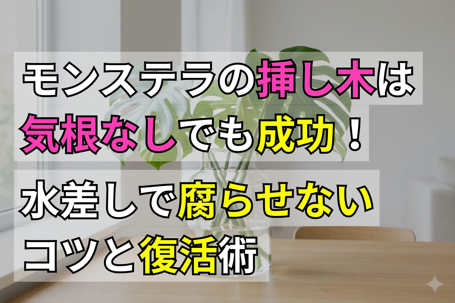 モンステラの挿し木は気根なしでも成功！水差しで腐らせないコツと復活術