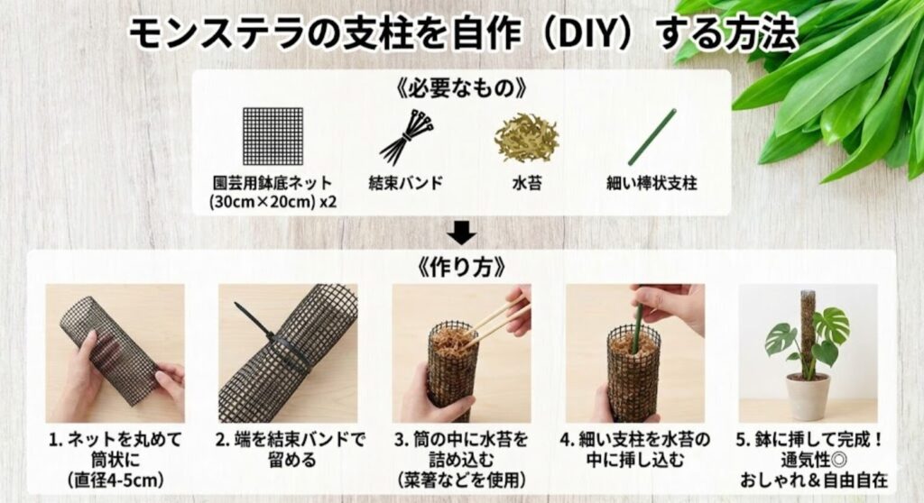 モンステラの支柱を自作（DIY）する方法