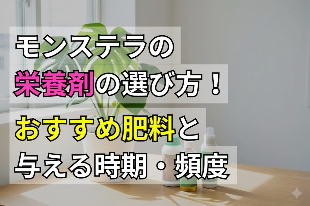 モンステラの栄養剤の選び方！おすすめ肥料と与える時期・頻度を解説