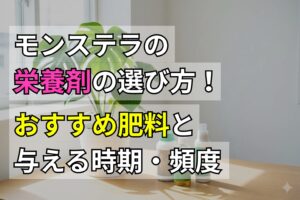 モンステラの栄養剤の選び方！おすすめ肥料と与える時期・頻度を解説