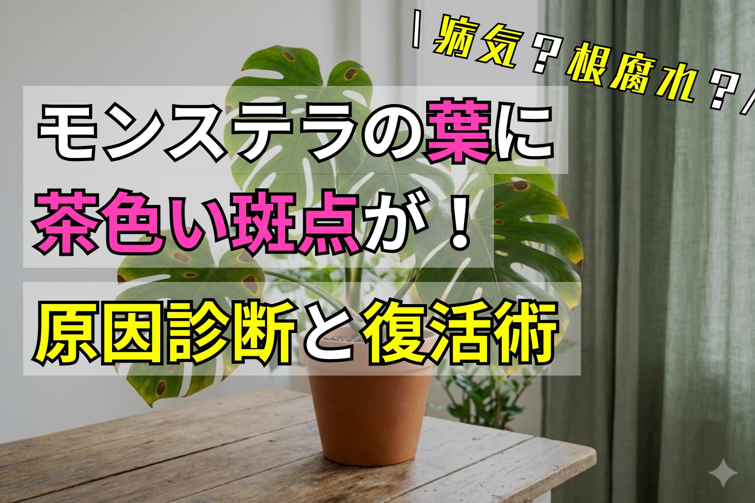 モンステラの葉に茶色い斑点が！病気？根腐れ？原因診断と復活術