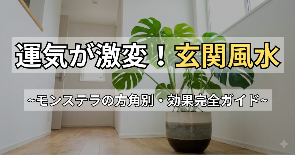 モンステラの風水で玄関の運気UP！方角別の効果と枯らさない育て方