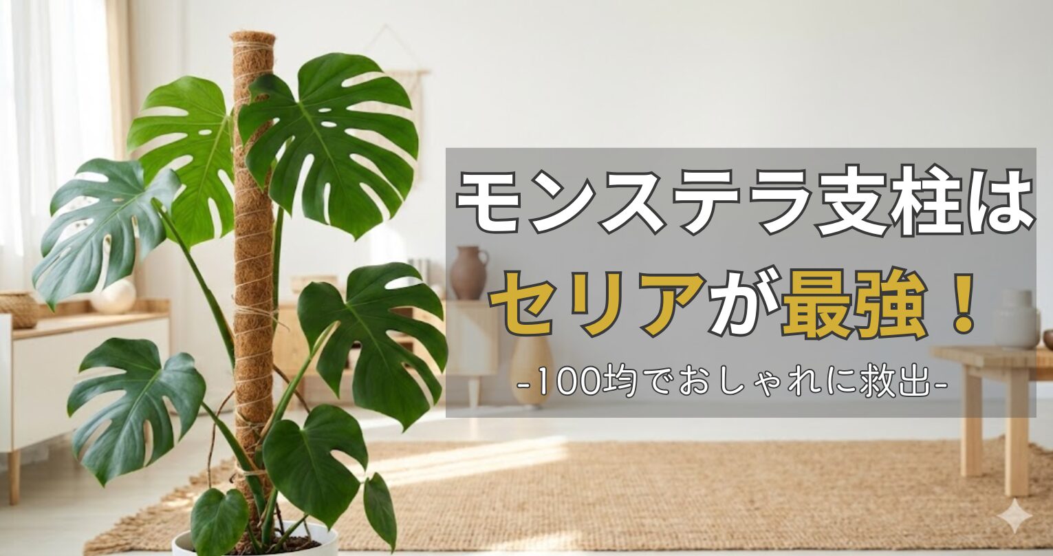 暴れるモンステラをセリアの支柱で救出！失敗しない立て方と100均おしゃれ活用術