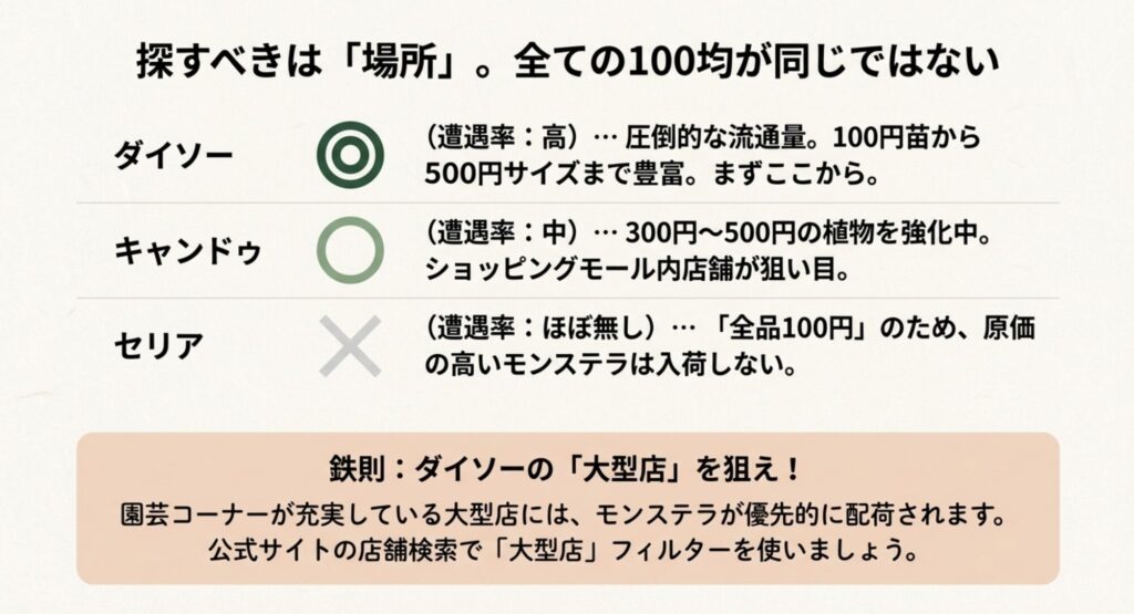 モンステラの遭遇率はダイソーが高く、キャンドゥは中程度、セリアはほぼ無しという比較表。大型店を狙うのが鉄則です。
