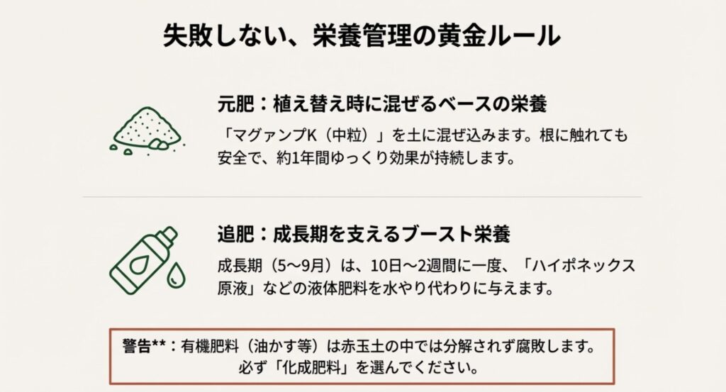 元肥としてマグァンプKを混ぜ込み、成長期には追肥としてハイポネックスなどの液体肥料を与える手順を解説したイラスト