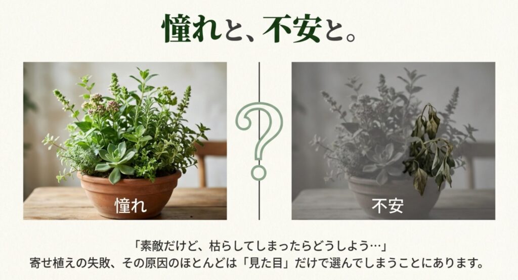 観葉植物の寄せ植えに成功した美しい状態と、失敗して枯れてしまった状態の比較イメージ