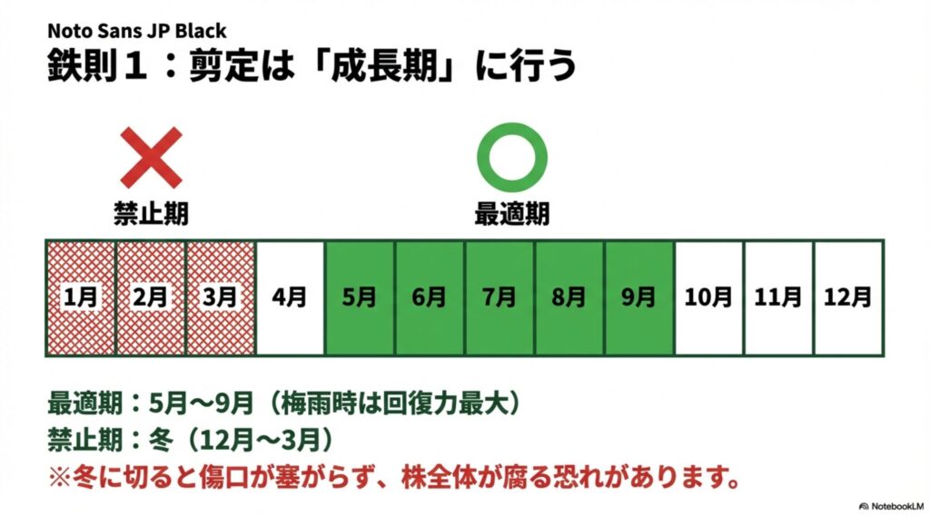 モンステラの年間管理カレンダー。5月から9月が剪定の最適期（成長期）、12月から3月の冬は剪定禁止期間であることを示す図