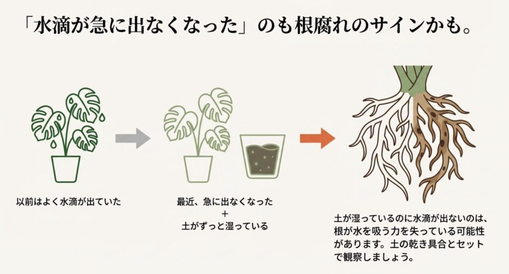 モンステラの水滴が急に出なくなり、かつ土が湿っている場合は根腐れの可能性があることを示す図。