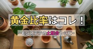 モンステラの土配合の黄金比率とレシピを紹介するアイキャッチ画像。テーブルの上にモンステラの鉢植えと、配合に使用する赤玉土や鹿沼土などの用土、スコップが並べられている。「黄金比率はコレ！」というテキスト入り。