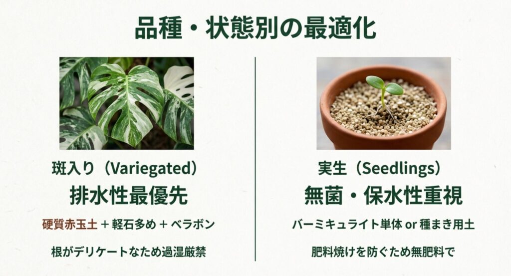斑入りモンステラ向けの排水性重視の土と、実生（種まき）用の無菌の土の解説