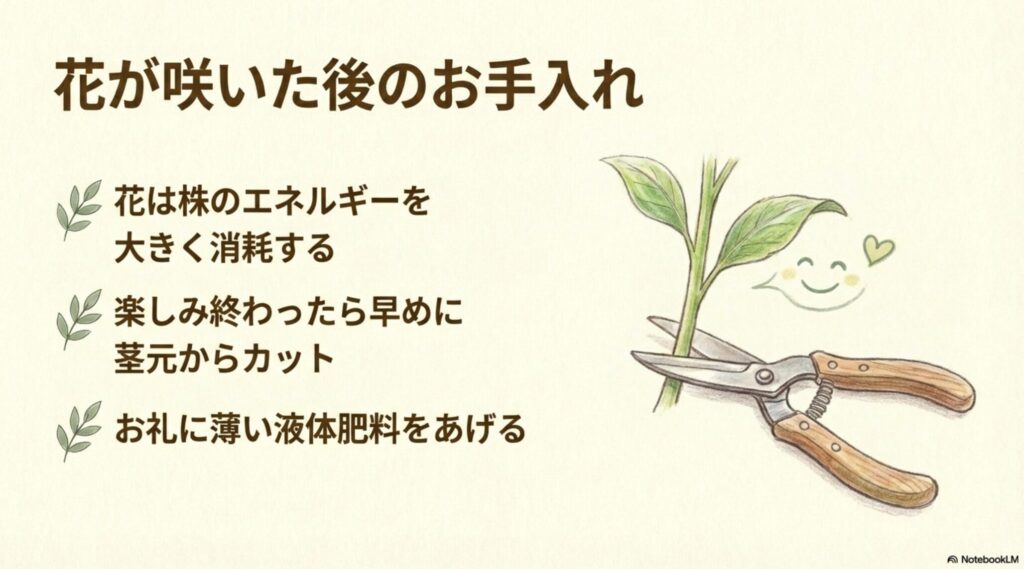 サンスベリアの花茎を剪定ハサミでカットしているイラスト