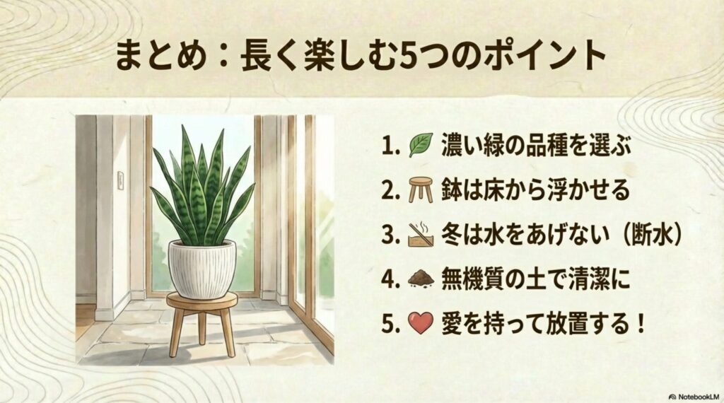 玄関でサンスベリアを長く楽しむための5つのポイントまとめ