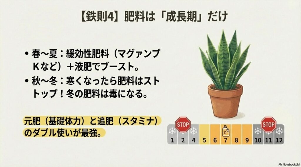 サンスベリアの肥料カレンダー。春から夏の成長期に与え、冬は与えないことを示すイラスト。