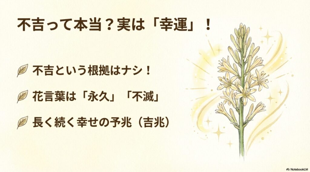 サンスベリアの花言葉「永久」「不滅」と幸運のサインについての解説