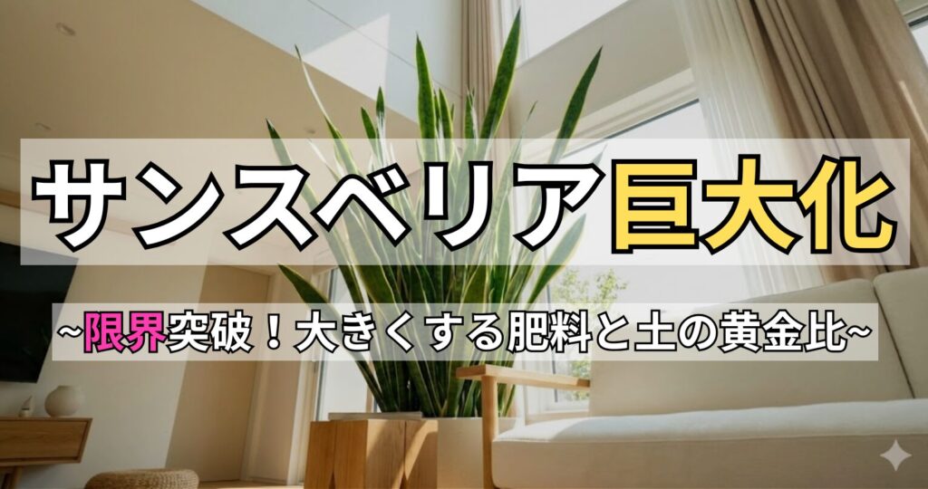 サンスベリアを大きくしたい人へ。「サンスベリア巨大化 ～限界突破！大きくする肥料と土の黄金比～」というタイトル文字と、リビングで巨大に育ったサンスベリアの写真。