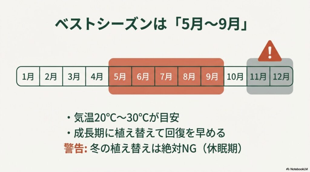 5月から9月が植え替えに適した時期であることを示すカレンダー。冬の植え替えはNGという警告マーク付き
