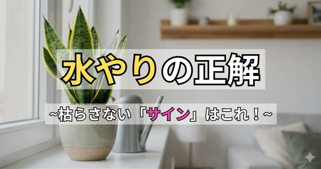 【画像解説】サンスベリアの水やりサインとタイミング！しわや根腐れを防ぐ