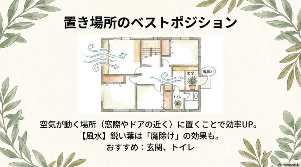 サンスベリアの置き場所のベストポジション。空気が動く窓際やドアの近くで効率アップ。風水的に鋭い葉は魔除けになるため玄関やトイレがおすすめです。
