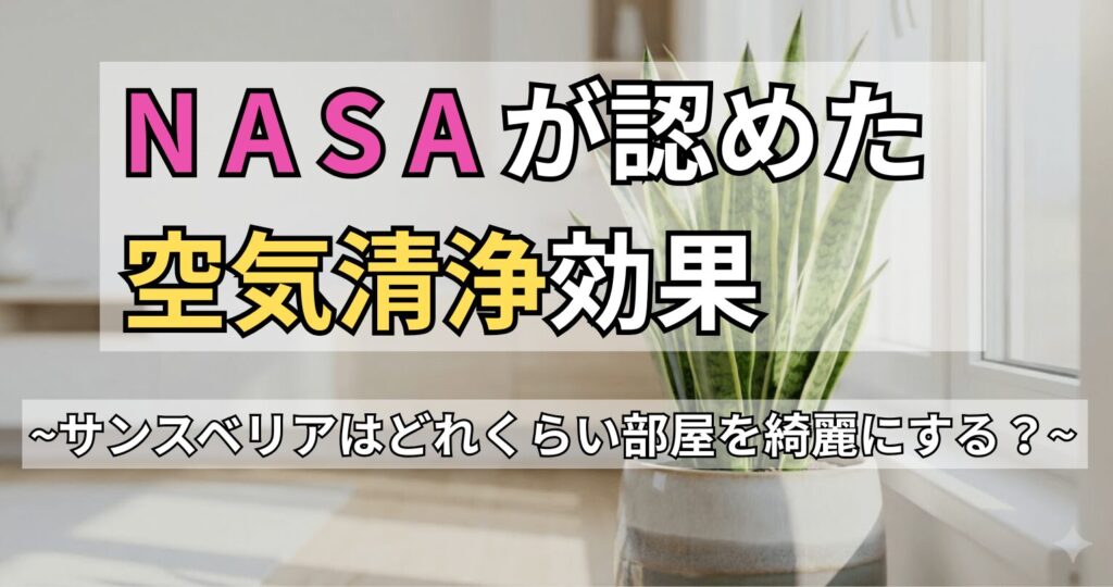 「NASAが認めた空気清浄効果 ～サンスベリアはどれくらい部屋を綺麗にする？～」と書かれた、サンスベリアの空気清浄はどれくらい効果があるのかを解説する記事のアイキャッチ画像。