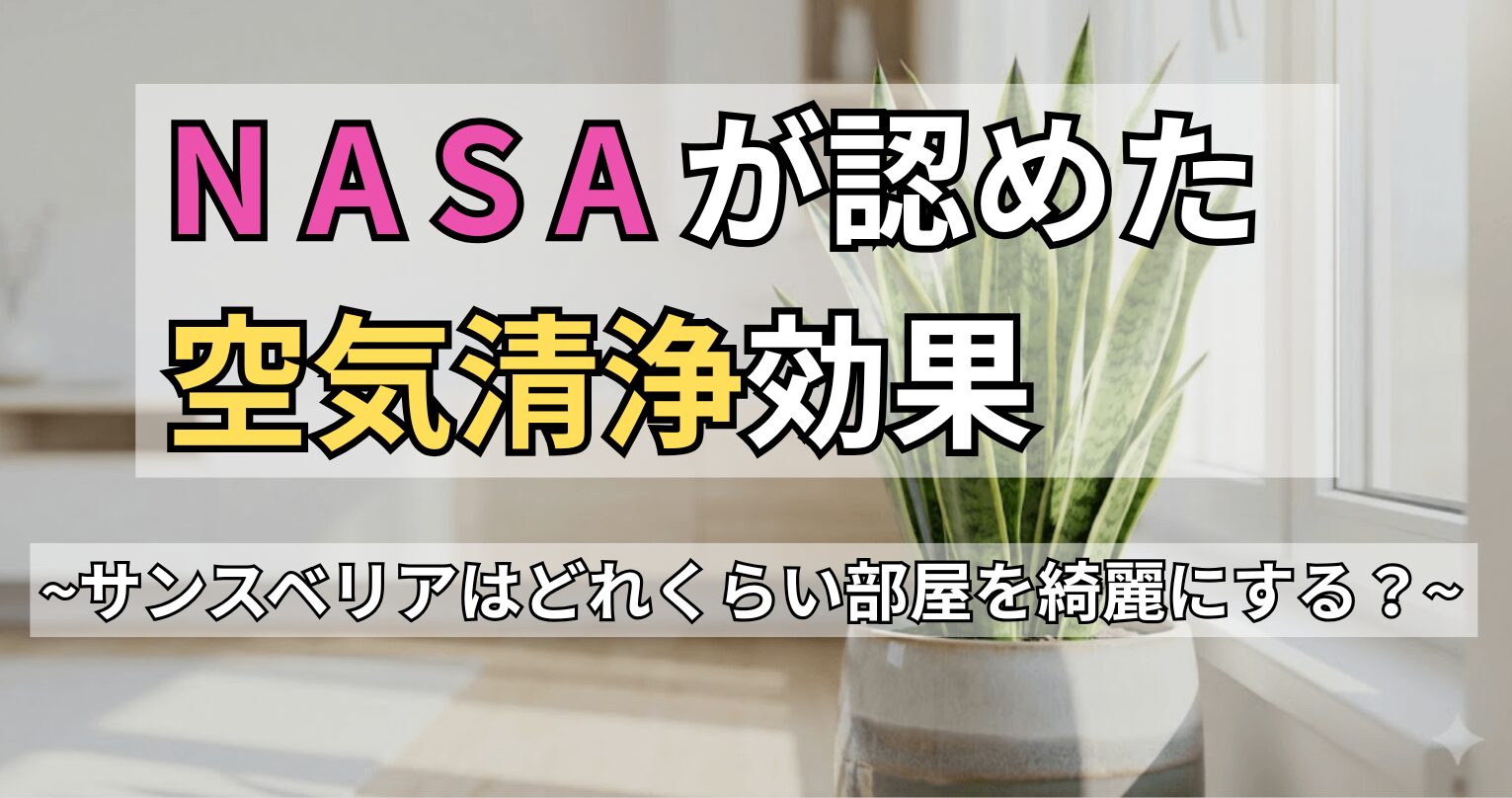 「NASAが認めた空気清浄効果 ～サンスベリアはどれくらい部屋を綺麗にする？～」と書かれた、サンスベリアの空気清浄はどれくらい効果があるのかを解説する記事のアイキャッチ画像。