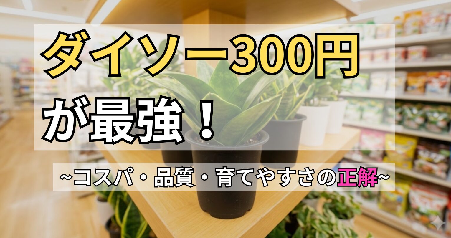 ダイソーの売り場に並ぶ300円のサンスベリア・ハニーのアイキャッチ画像。「ダイソー300円が最強！コスパ・品質・育てやすさの正解」というキャッチコピー入り。