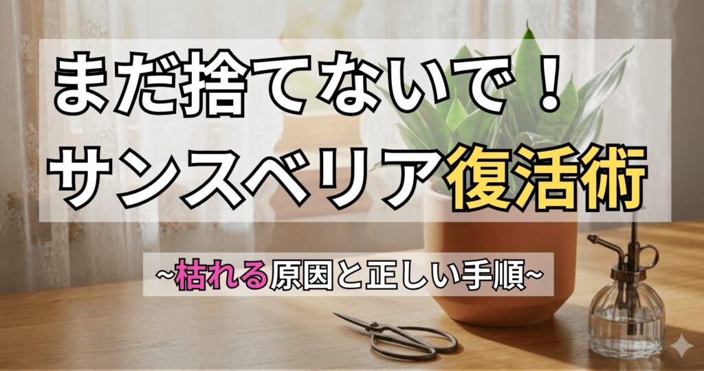 窓辺のテーブルに置かれた元気なサンスベリアの鉢植えと、お手入れ用のハサミ・霧吹き。サンスベリアが枯れる原因と復活のステップを初心者向けに解説する記事のアイキャッチ画像。