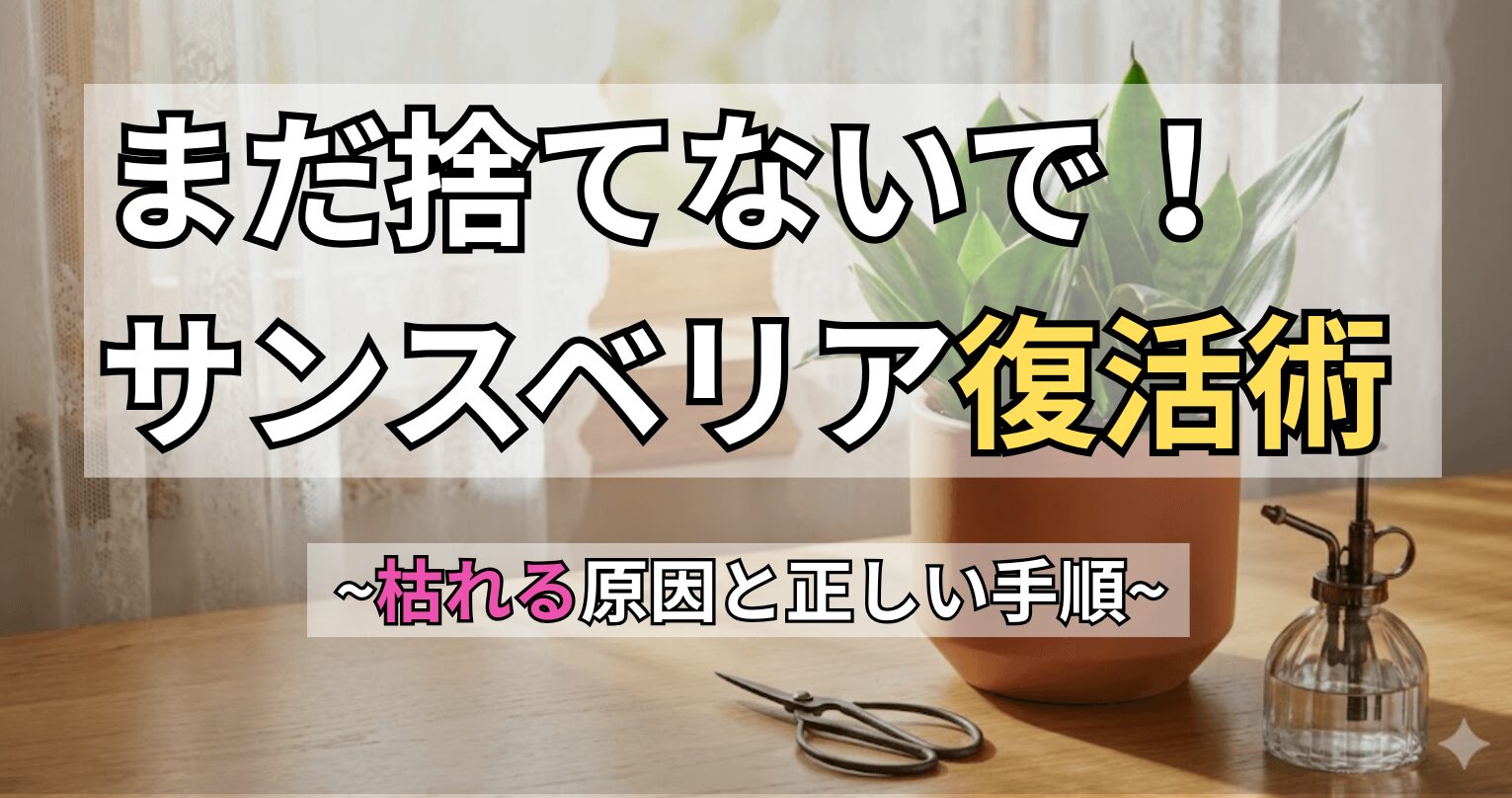 窓辺のテーブルに置かれた元気なサンスベリアの鉢植えと、お手入れ用のハサミ・霧吹き。サンスベリアが枯れる原因と復活のステップを初心者向けに解説する記事のアイキャッチ画像。