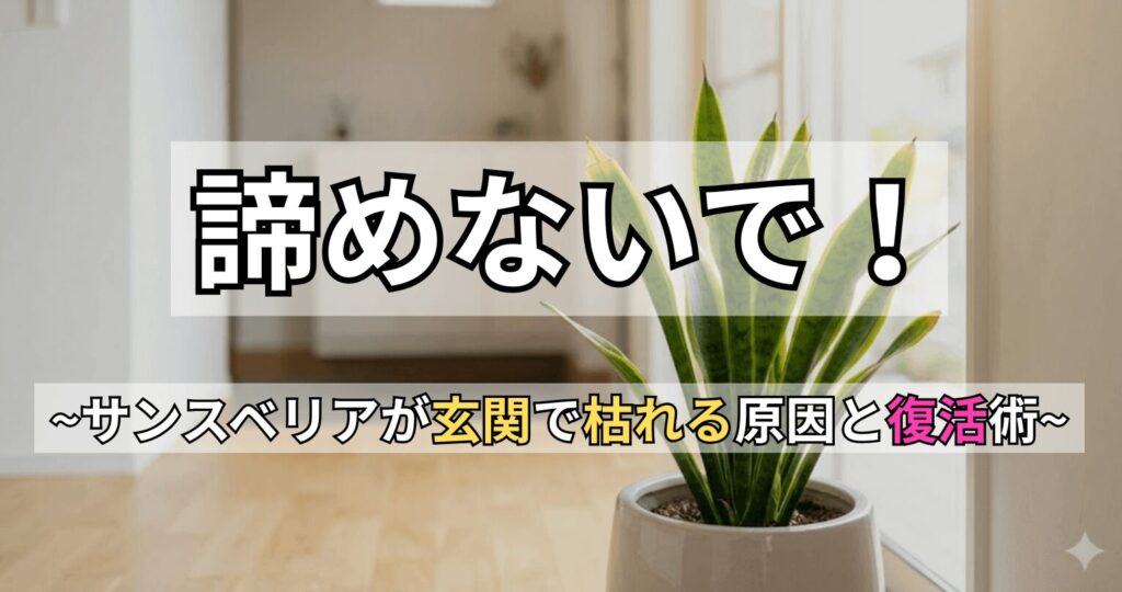 明るい玄関に置かれたサンスベリアの鉢植えと、「諦めないで！〜サンスベリアが玄関で枯れる原因と復活術〜」というテキスト