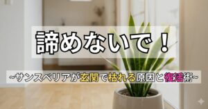 明るい玄関に置かれたサンスベリアの鉢植えと、「諦めないで!〜サンスベリアが玄関で枯れる原因と復活術〜」というテキスト