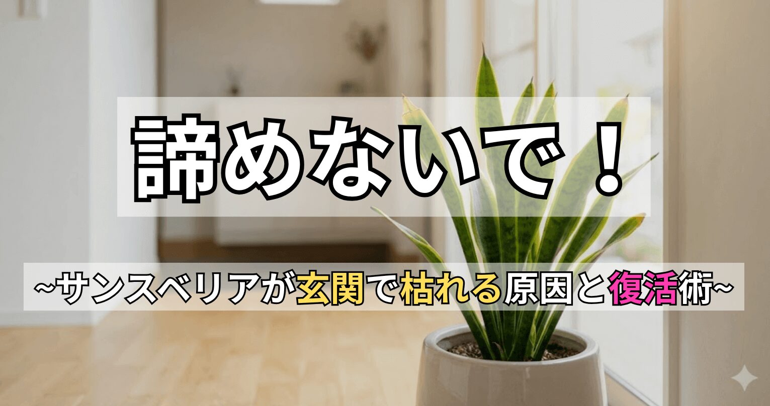 明るい玄関に置かれたサンスベリアの鉢植えと、「諦めないで!〜サンスベリアが玄関で枯れる原因と復活術〜」というテキスト